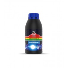 Rastea Bio ENERGY SPELL 0.5l